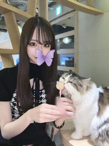 猫カフェいってきまちた！