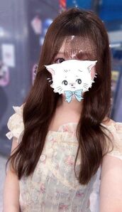 おはようございます?