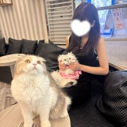 推し猫ちゃん♪