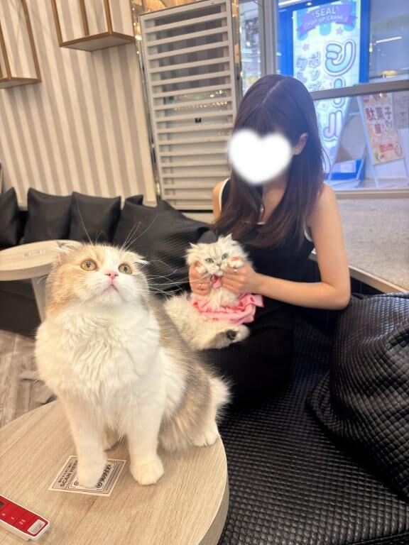 推し猫ちゃん♪