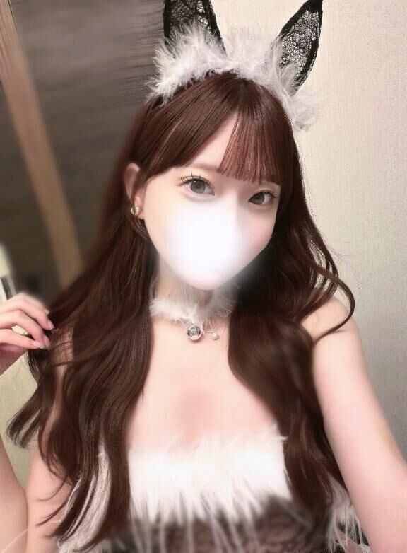 只今の私の案内状況♪
