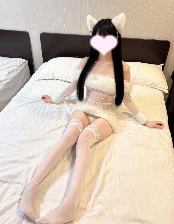 只今の私の案内状況♪