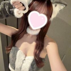 私の只今の案内状況♪
